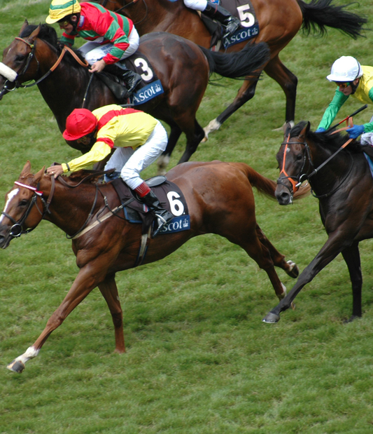 Subscription Packages