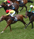 Subscription Packages